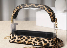 Clear Stadium Bag